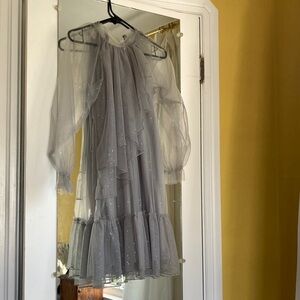 Ethereal Zara sparkling tulle Sheer Dress with Ruffle Details